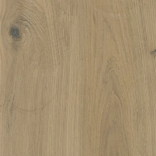 ACCENT Sherwood