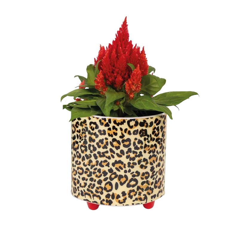 Macetero “Leopardo”
