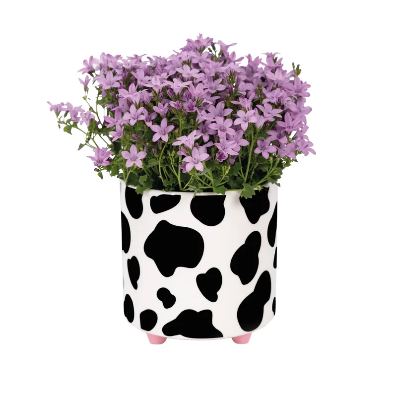 Macetero “Vaca”