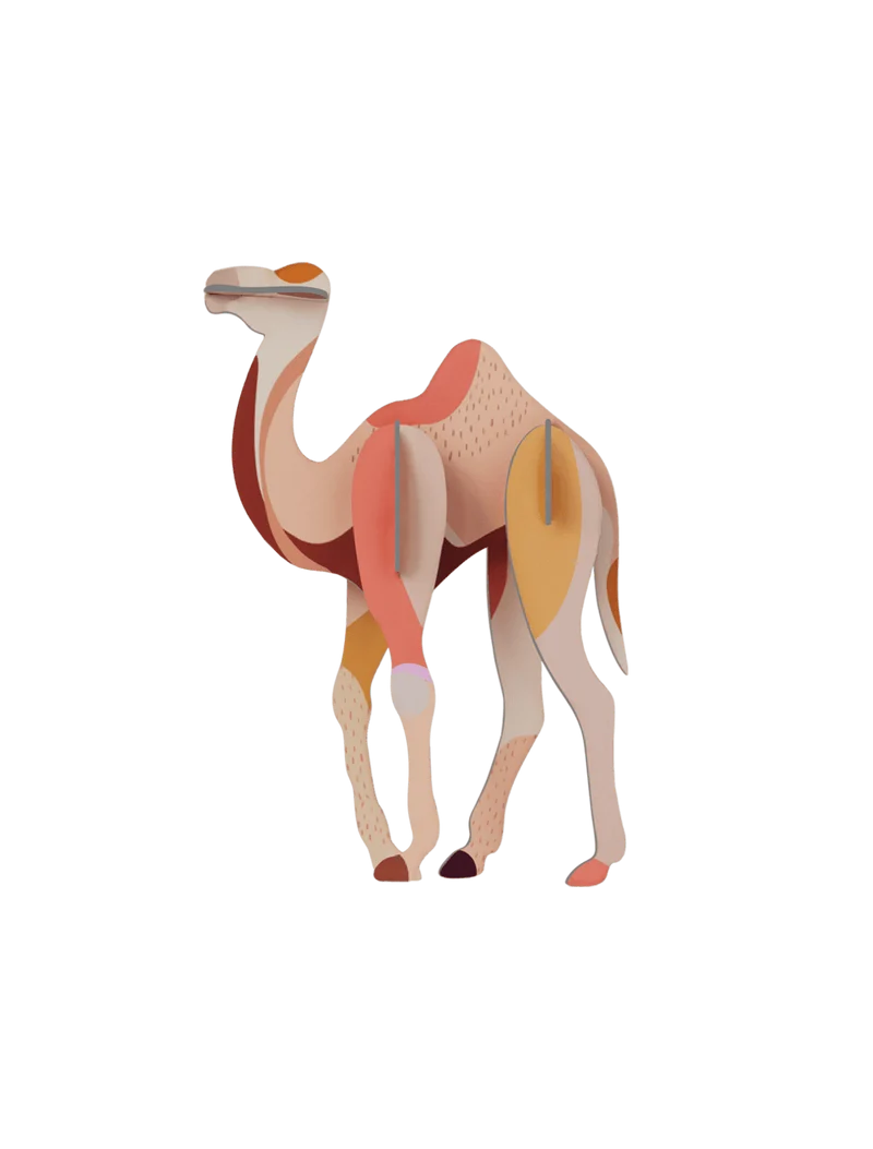 Camel Studio Roof