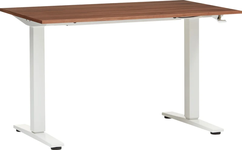 ECCO Light_Pult