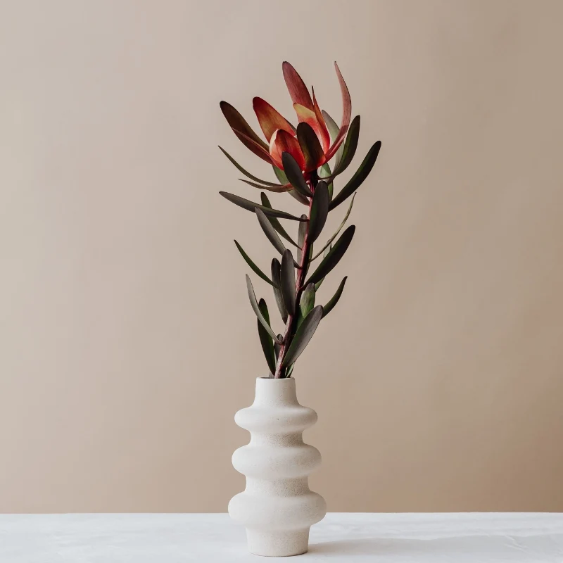 Vase décoratif scandinave ~ STELLA