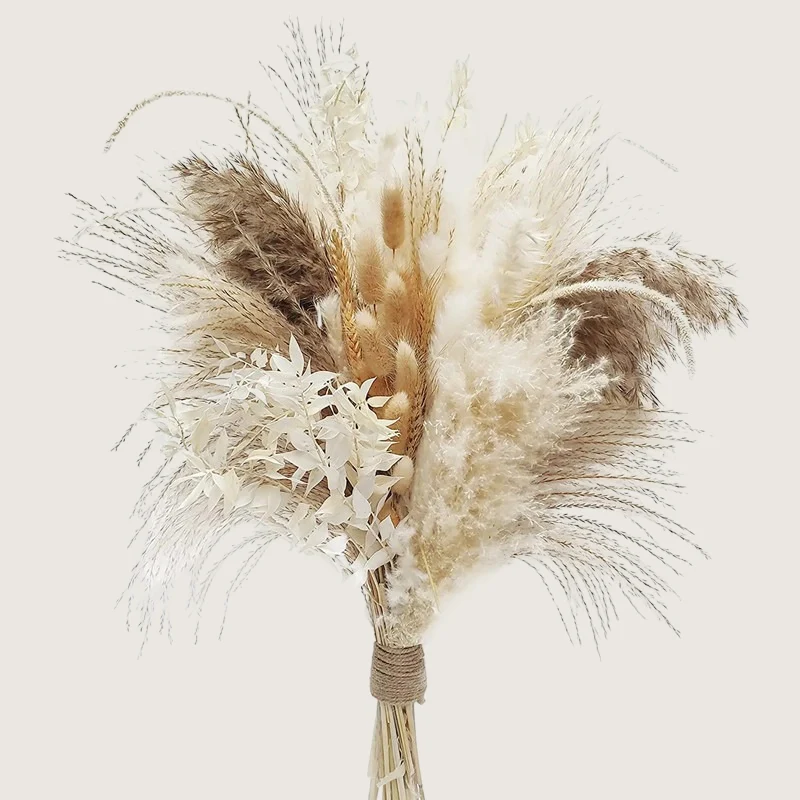 Bouquet de pampas ~ DOLCE