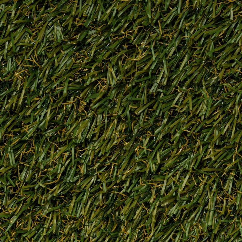 Herbe Extérieur/Paysage