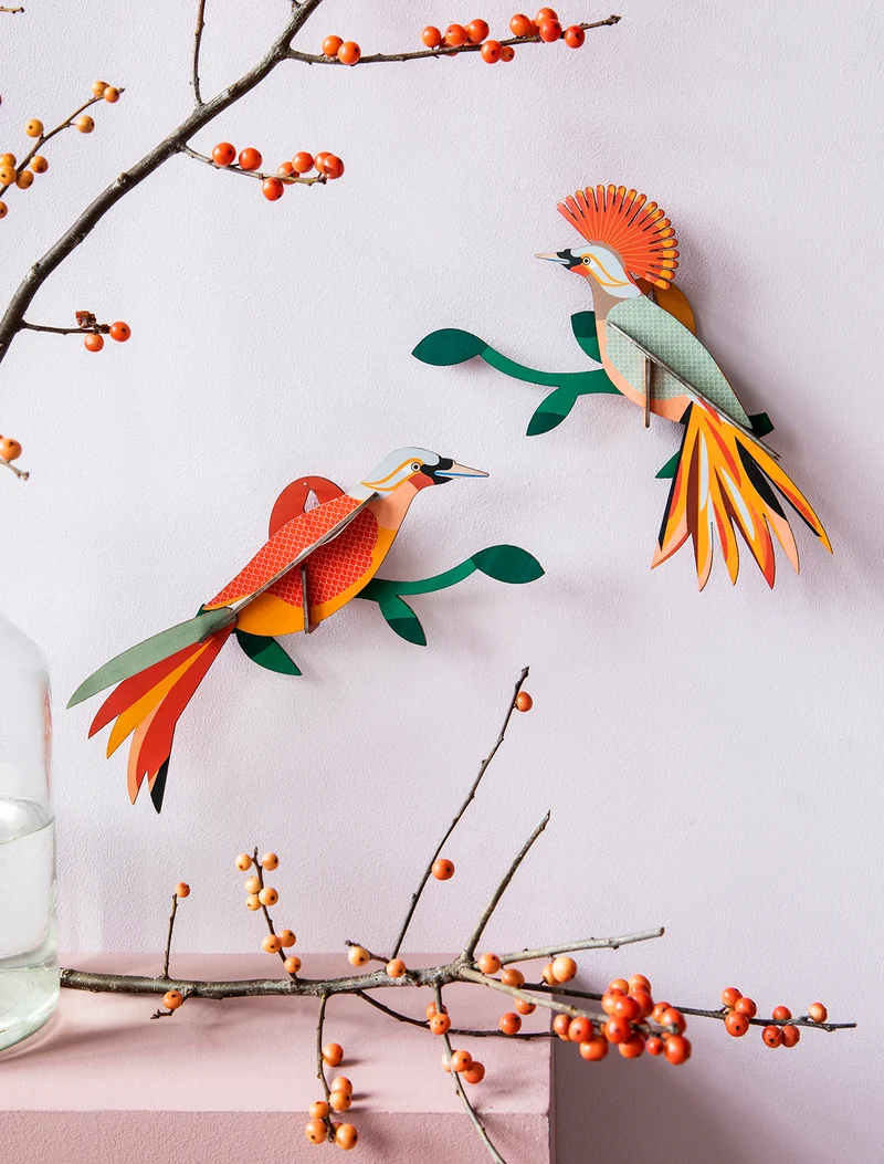 Paradise Bird, Obi set de 2 Studio Roof