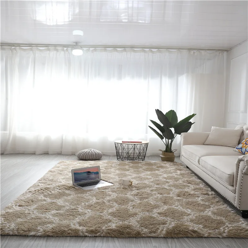 Tapis Salon Poil Long