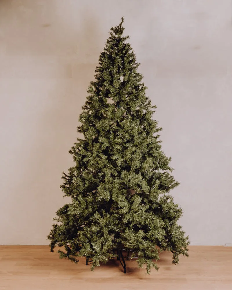 Sapin Cyprien 300cm