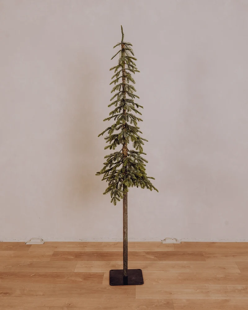 Sapin Alpin vert