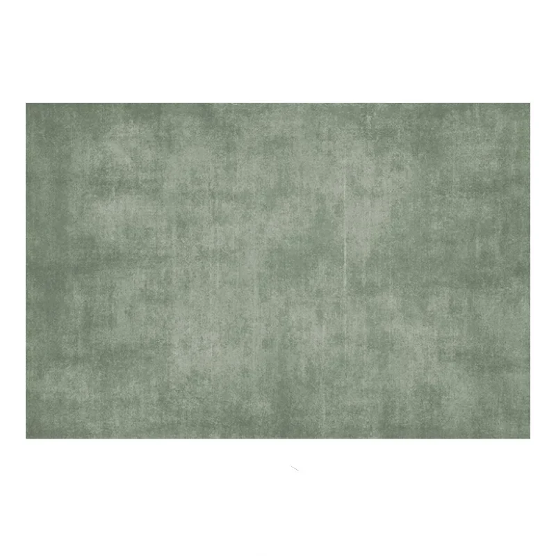 Tapis Contemporain Uni