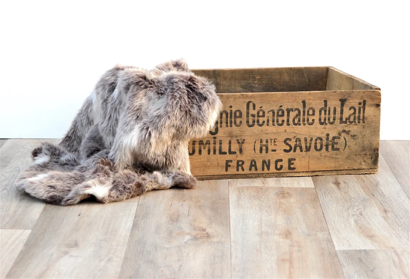 Peau de bête