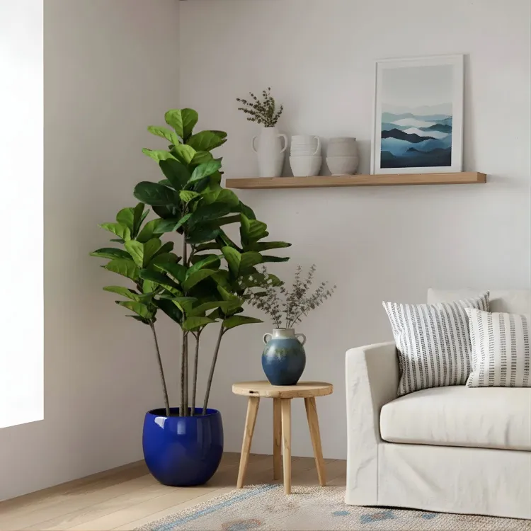 Plante artificielle "FIGIER LYRE" 150CM ref:3345