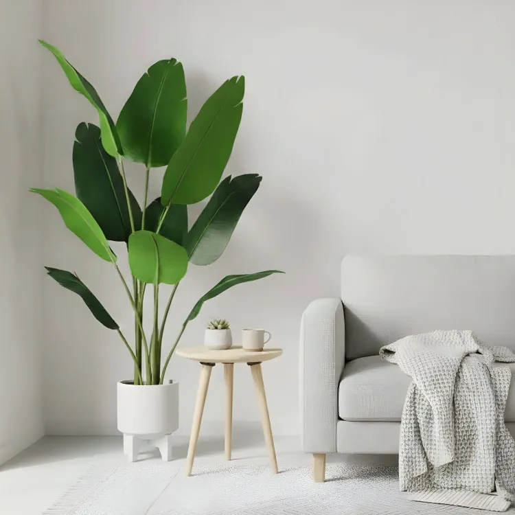 Plante artificielle "OISEAU DE PARADIS" 160CM ref:3341